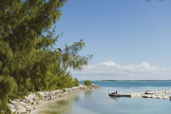 Calm Exuma cove with a dock and casuarina pine trees